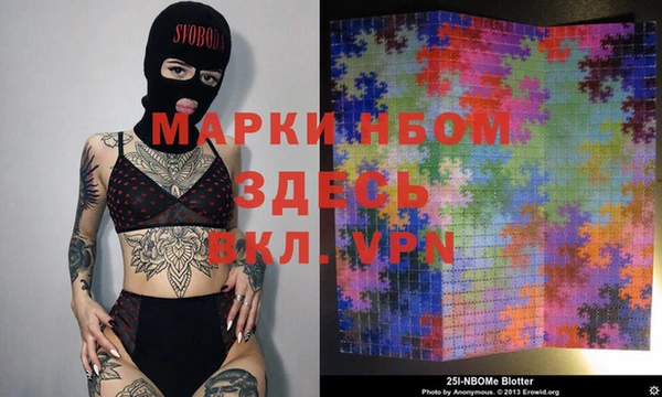 твердый Абаза