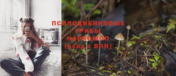 гидра Абдулино
