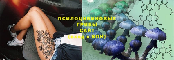 стафф Абинск