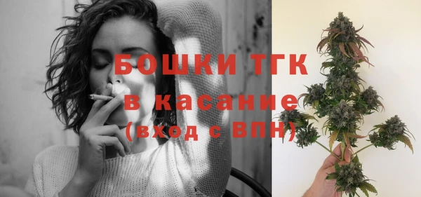 твердый Абаза