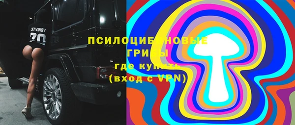 твердый Абаза